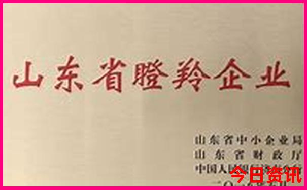东山岛两日游最佳路线